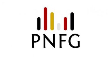 Logo Polsko-Niemieckiego Forum Gospodarczego