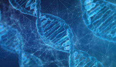 
ABD'deki bilim insanları, ilginç bir keşif yaparak DNA örneklerinin insanın