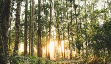 Ünlü dizi oyuncusu, sosyal medyada yarattığı etkileyici paylaşımıyla büyük bir