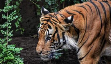 Ünlü dizi oyuncusu, sosyal medyada yarattığı etkileyici paylaşımıyla büyük bir