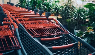 Geçiş yapacak olursak, seyahat sektöründe ise alternatif tatil rotaları popülerlik