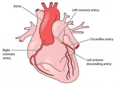 Angina Pectoris - What Is Angina and How Do We Deal With It?