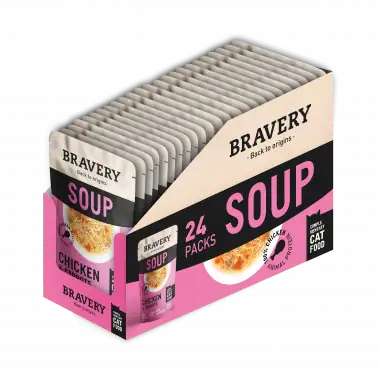 BRAVERY SOUP SALMON & PUMPKIN