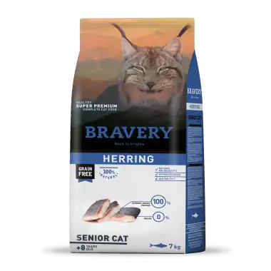 Bravery herring senior