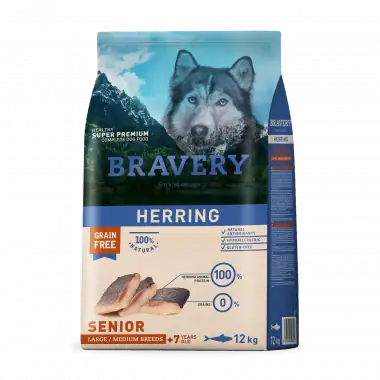 BRAVERY HERRING