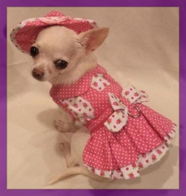 patrones ropa para perritas chihuahua