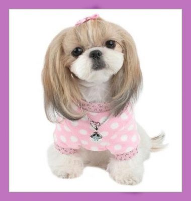 vestidos para perritas moldes