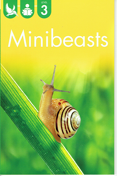 Minibeasts - Level 3 - Kingfisher Readers