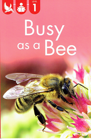 Busy as a Bee - Level 1 - Kingfisher Readers