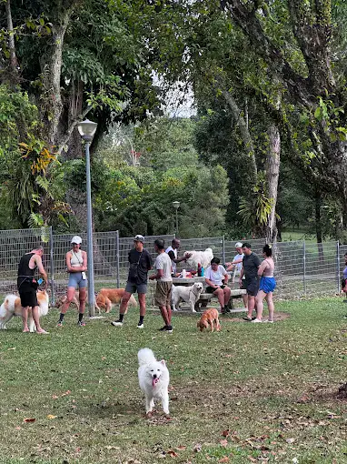 SembawangParkDogRun(Google)Xuanm Like to eat 2024