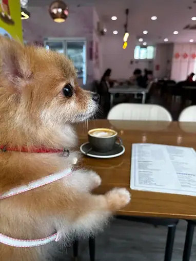 Ménage Café