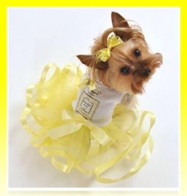 vestidos para perritas paso a paso