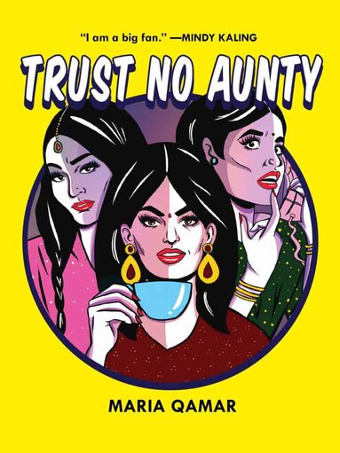 Trust No Aunty - Book Cover