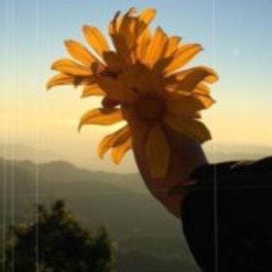 Profile photo of Sheilah