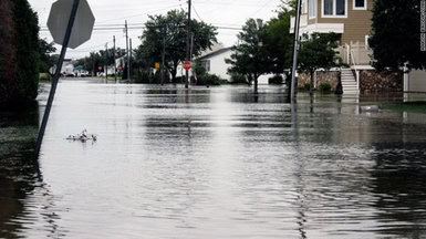 Hurricane Irene Case Study