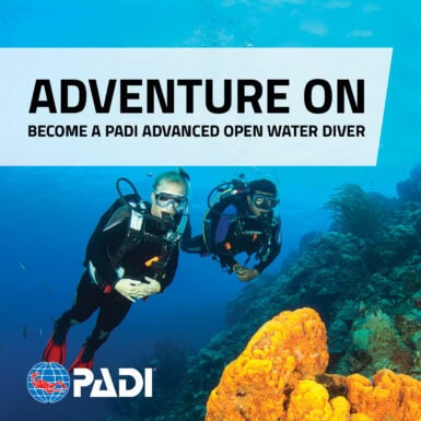 ADVANCED OPEN WATER DIVER 2