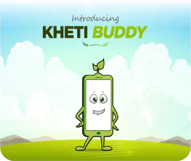kb