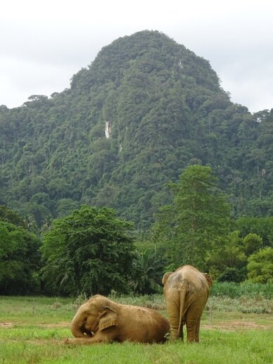 Travelling to Thailand: Amazing tips that will help your trip.