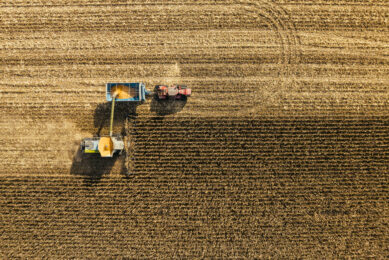 Autonomous harvest transportation