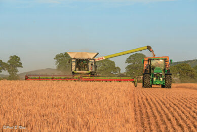 With systems like CartACE from Ag Leader, the tractor driver automatically receives an AB-line parallel to the combine, facilitating in-motion unloading. Currently mainly in use outside the Netherlands, such as here in the UK. Photo: AgLeader