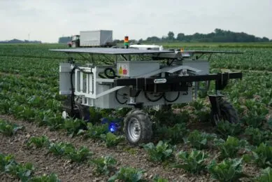 Field robot Earth Rover combats weeds with light