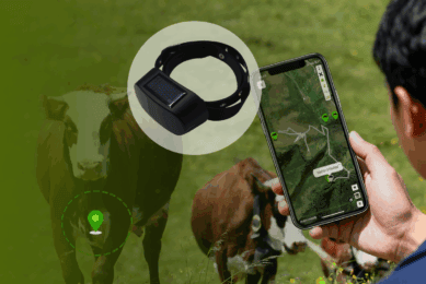 Photos and illustration: Navynav