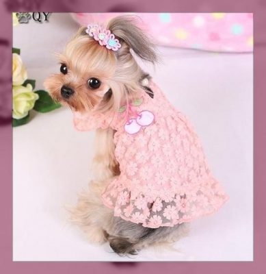 como hacer ropa para perros paso a paso