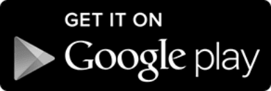 Google Play Store Icon