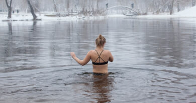 Resolutions To keep in Europe with the Eurotunnel Le Shuttle