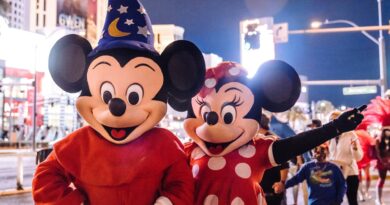 Present Ideas For A Disney Fan