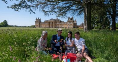 The top 10 places to enjoy a picnic at Blenheim Palace