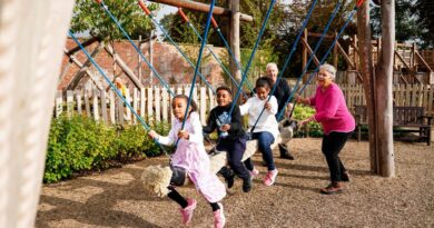 Blenheim Palace and Play Pass