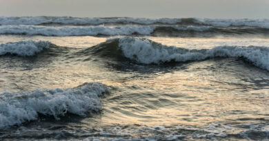 timeless ocean love songs that capture the essence of romance by the sea