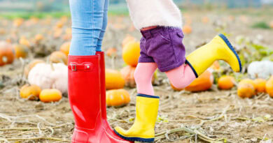 Top 10 Most Instagrammable Pumpkin Patches to Visit This October