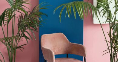 Reasons the Right Furniture is So Important