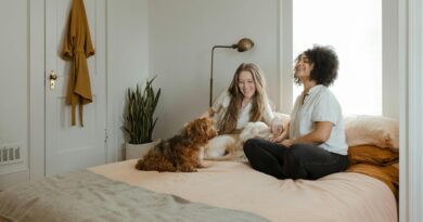 Easy Ways to Keep Your Home Comfortable Throughout the Year