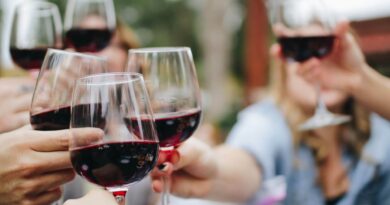 What Makes a Wine Tasting Event Perfect for Gatherings
