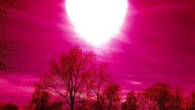 من قلبك تبدأ ‏‏الإستنارة