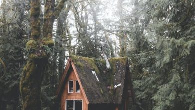 مزايا البيوت الخشبية