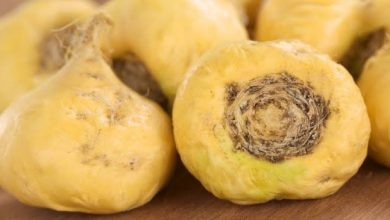 فوائد جذور الماكا