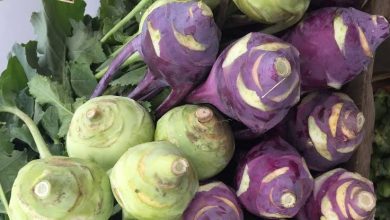 فوائد الكرنب السلقي