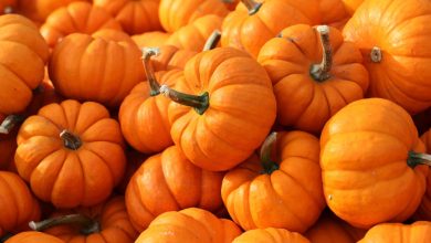 ما هي القيمة الغذائية لقرع العسل؟ وما هي أهم فوائده الصحية والعلاجية؟