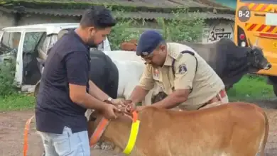 Road Safety Raigarh : सड़क हादसे रोकने Raigarh ट्रैफिक पुलिस की अनोखी पहल