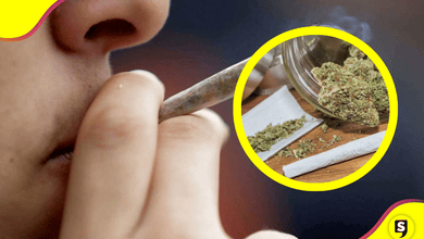 Aumento en el consumo de marihuana en México: ENCODAT