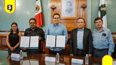 escarabajo descortezador en San Miguel Cerezo