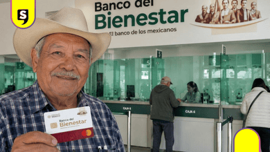 Pensión Bienestar julio 2026