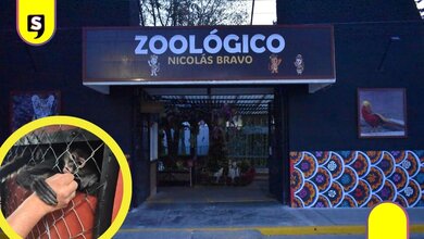 monos araña Zoológico de Tulancingo