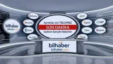 Muş ve Bitlis İllerinde Sınır Düzenlemesi ve Yerel Etkileri