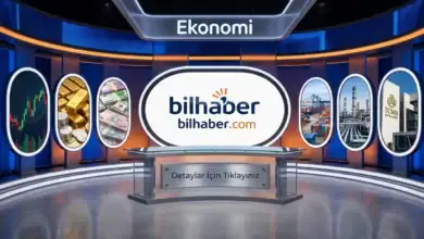 Döviz Kurları ve Dolar Euro Seviyelerinde Son Hareketler