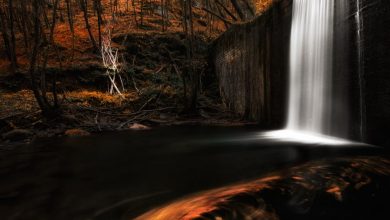 Equinozio d’autunno è il 22 settembre 2021